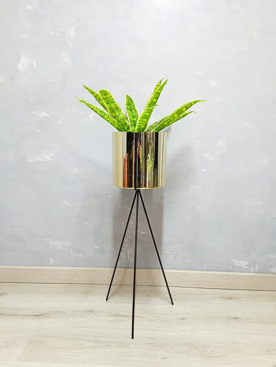Base Diorita 70 cm con Matero Plástico 2