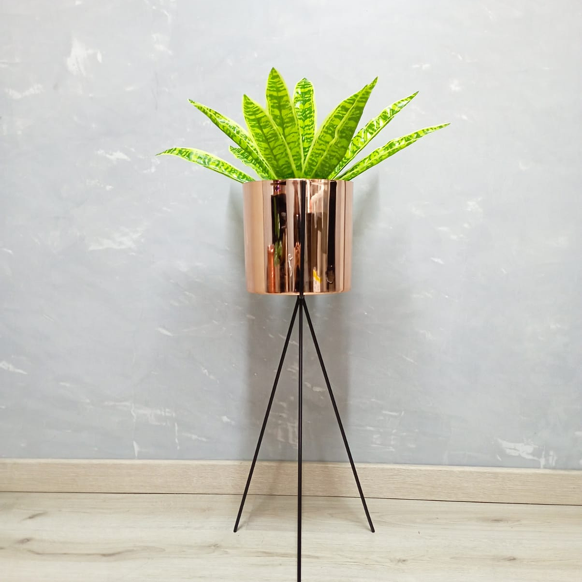 Base Diorita 70 cm con Matero Plástico 1