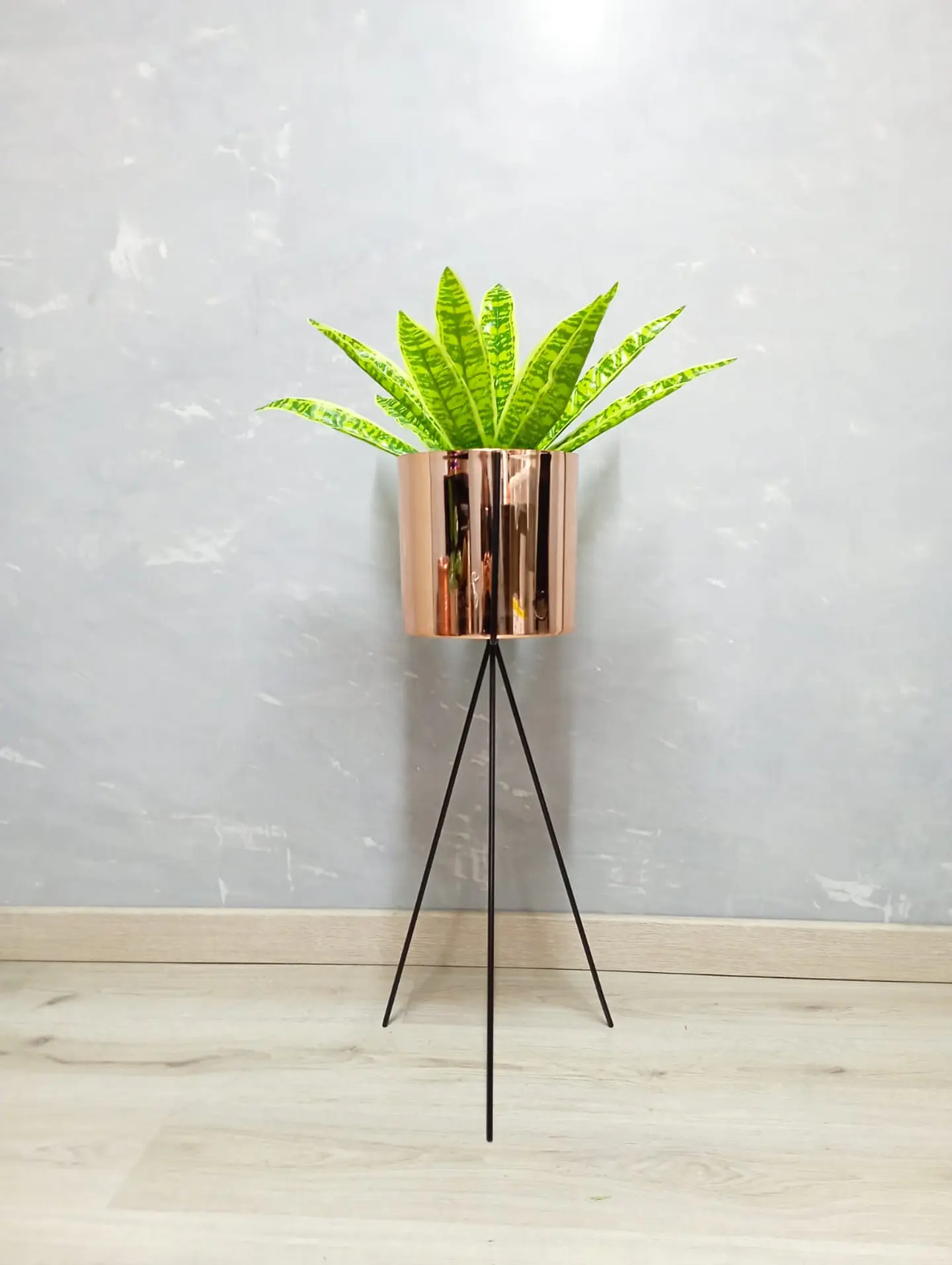 Base Diorita 70 cm con Matero Plástico 1