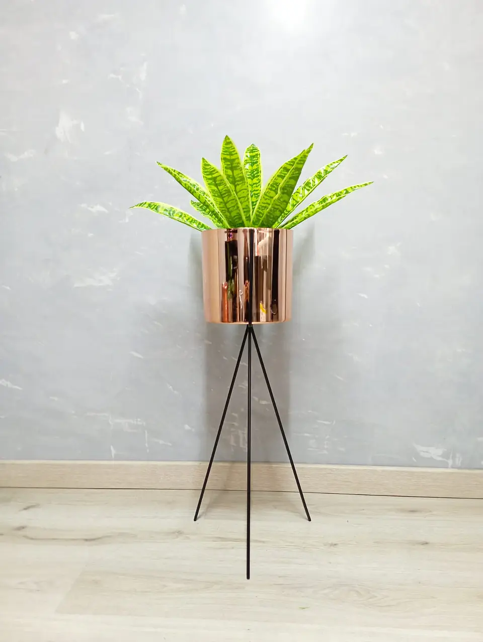 Base Diorita 70 cm con Matero Plástico 1