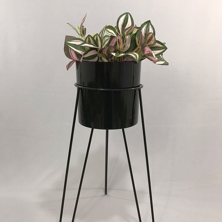 Base Draco 50 cm Con Matero Plástico 2