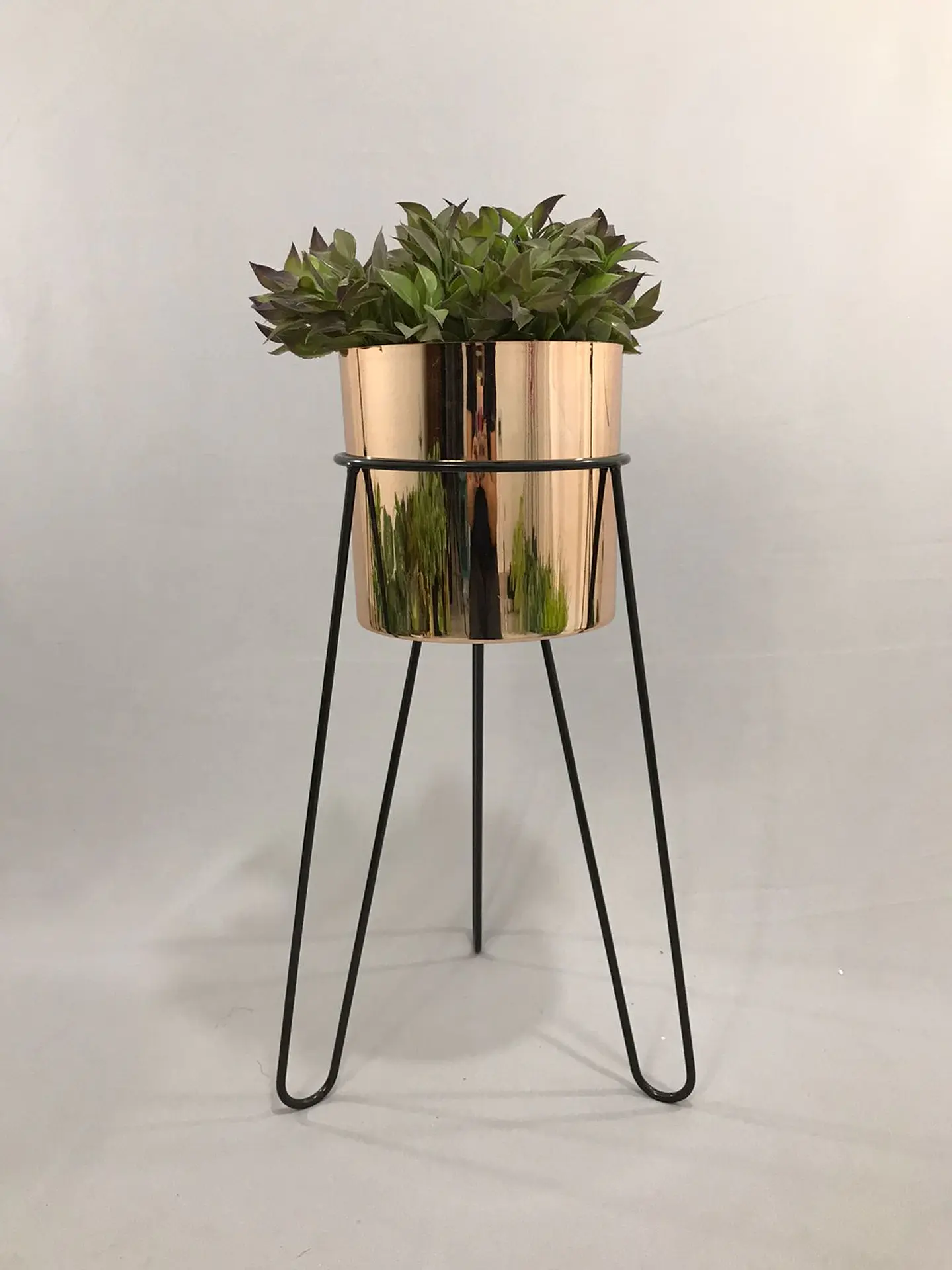 Base Draco 50 cm Con Matero Metalizado 3