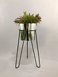 Base Draco 50 cm Con Matero Metalizado - Miniatura 4