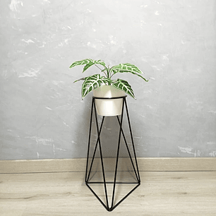 Base Acamar Negra 50cm Con Matero Plástico