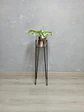 Base Izar 70 cm Con Matero Metalizado - Miniatura 3