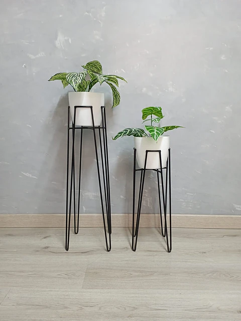 Set Base Izar Con Matero Plástico