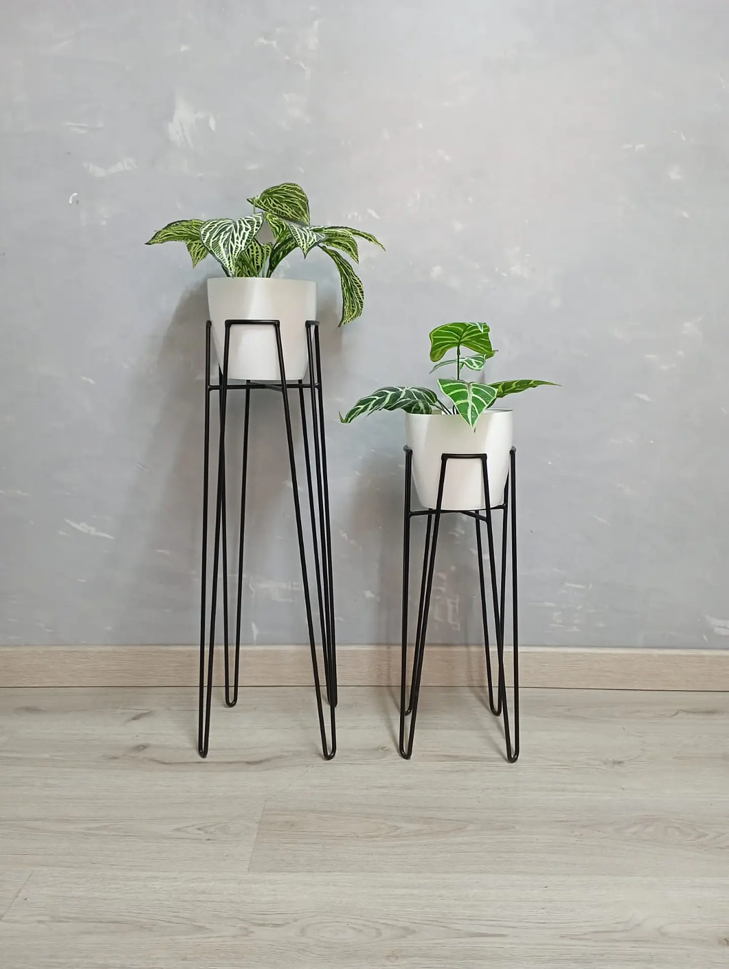 Set Base Izar Con Matero Plástico 1