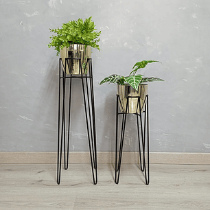 Set Base Izar Con Matero Metalizado