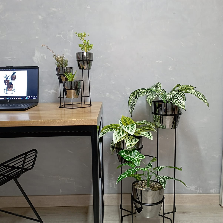 Combo Mini Dumar Con Matero Metalizado 3