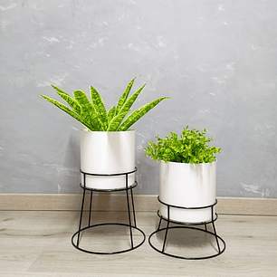 Set Ros Con Matero Plástico 