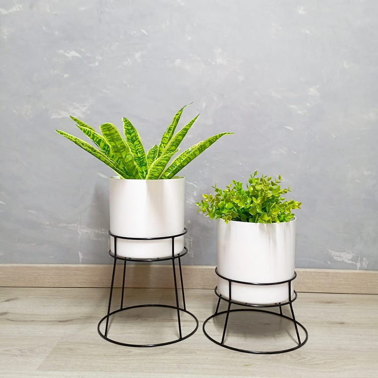 Set Ros Con Matero Plástico  1