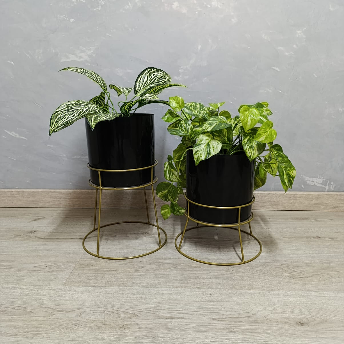 Set Ros Con Matero Plástico  3