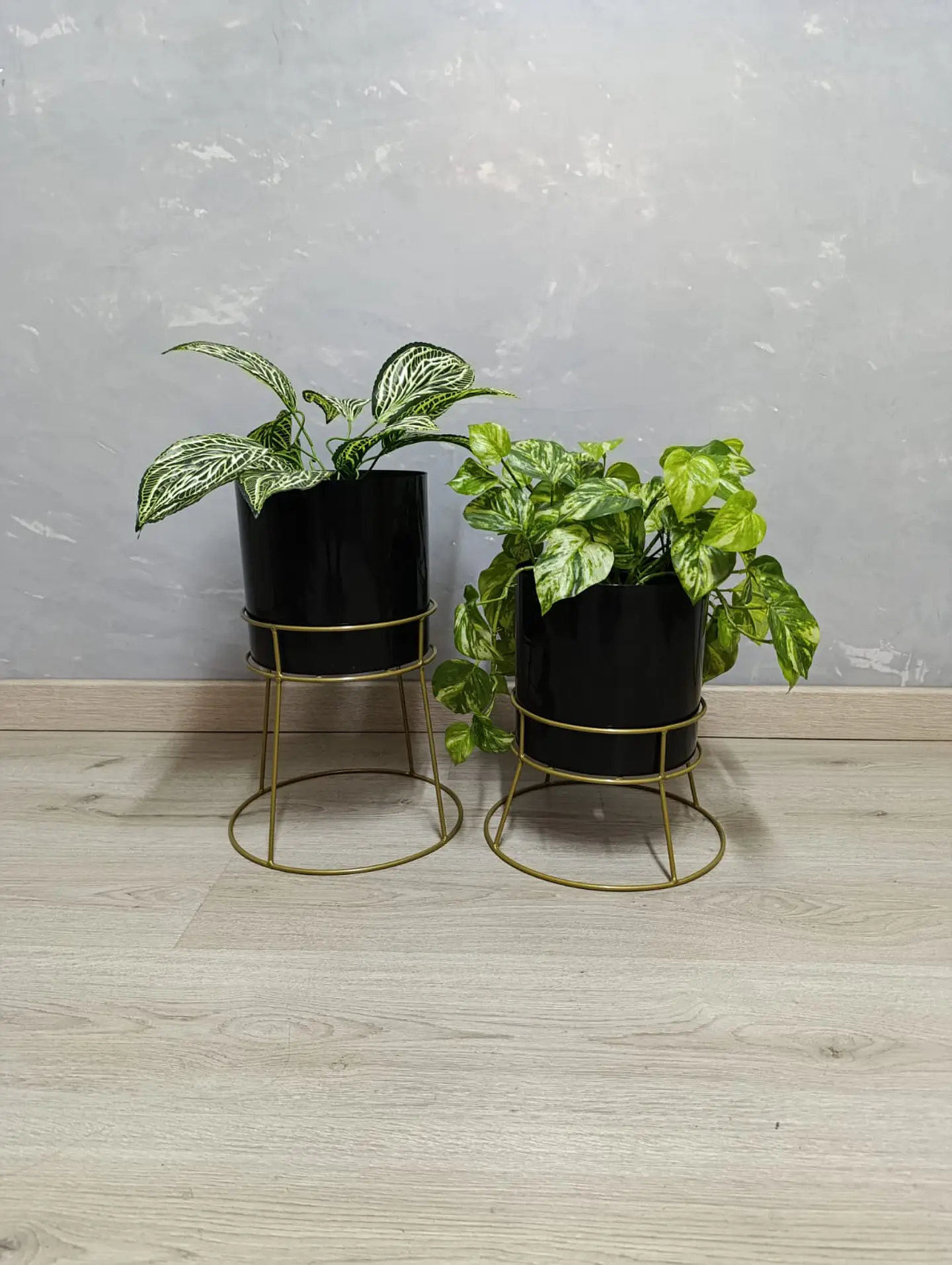 Set Ros Con Matero Plástico  3