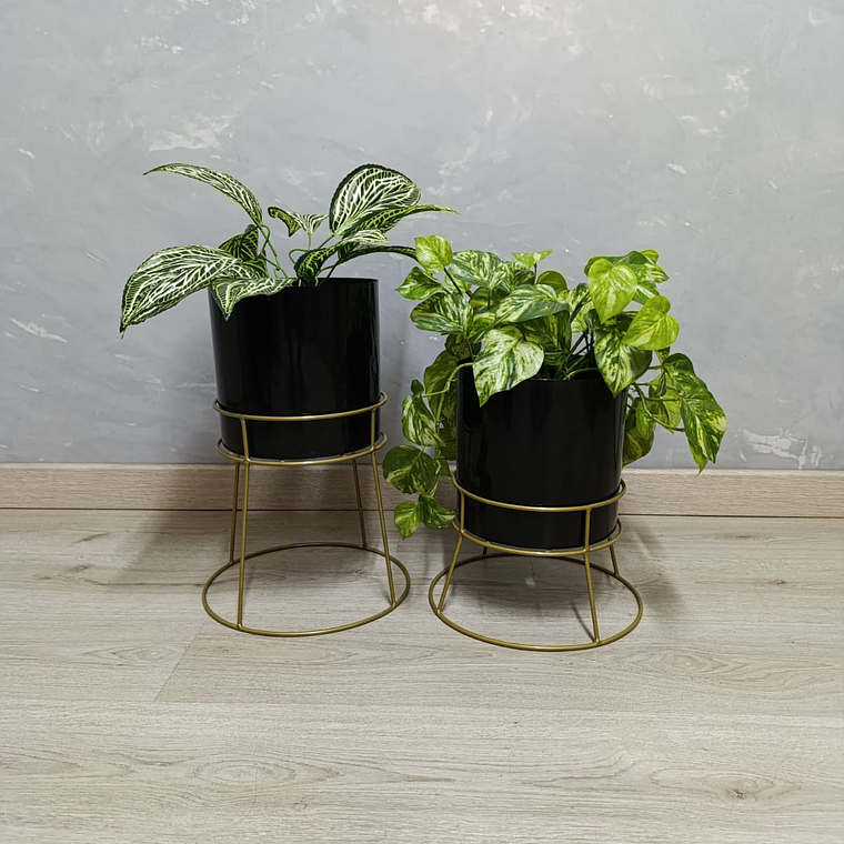 Set Ros Con Matero Plástico  3