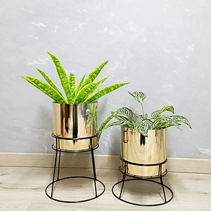 Set Ros Con Matero Metalizado 