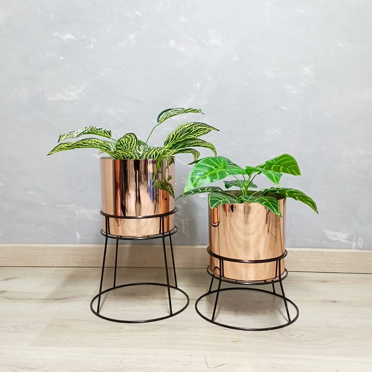 Set Ros Con Matero Metalizado  3