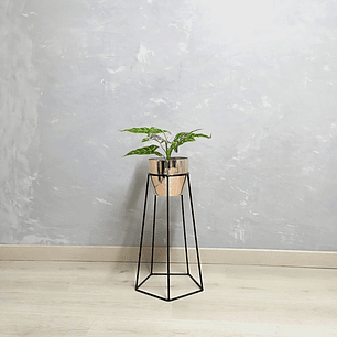 Base Cetus 50 cm Con Matero Metalizado