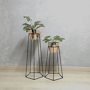 Set Cetus Con Matero Metalizado