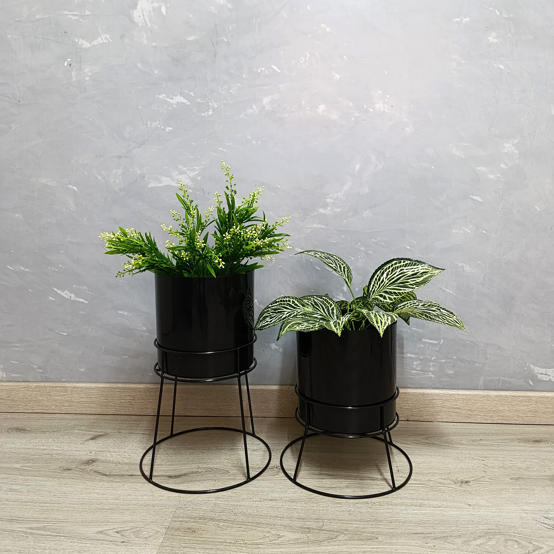 Set Ros Con Matero Plástico  2