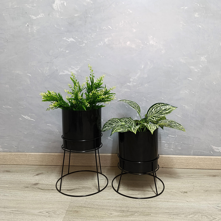 Set Ros Con Matero Plástico  2