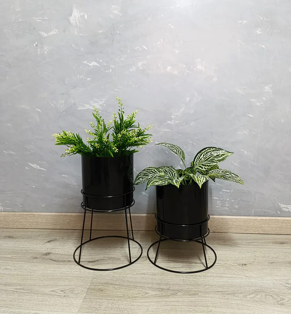Set Ros Con Matero Plástico  2