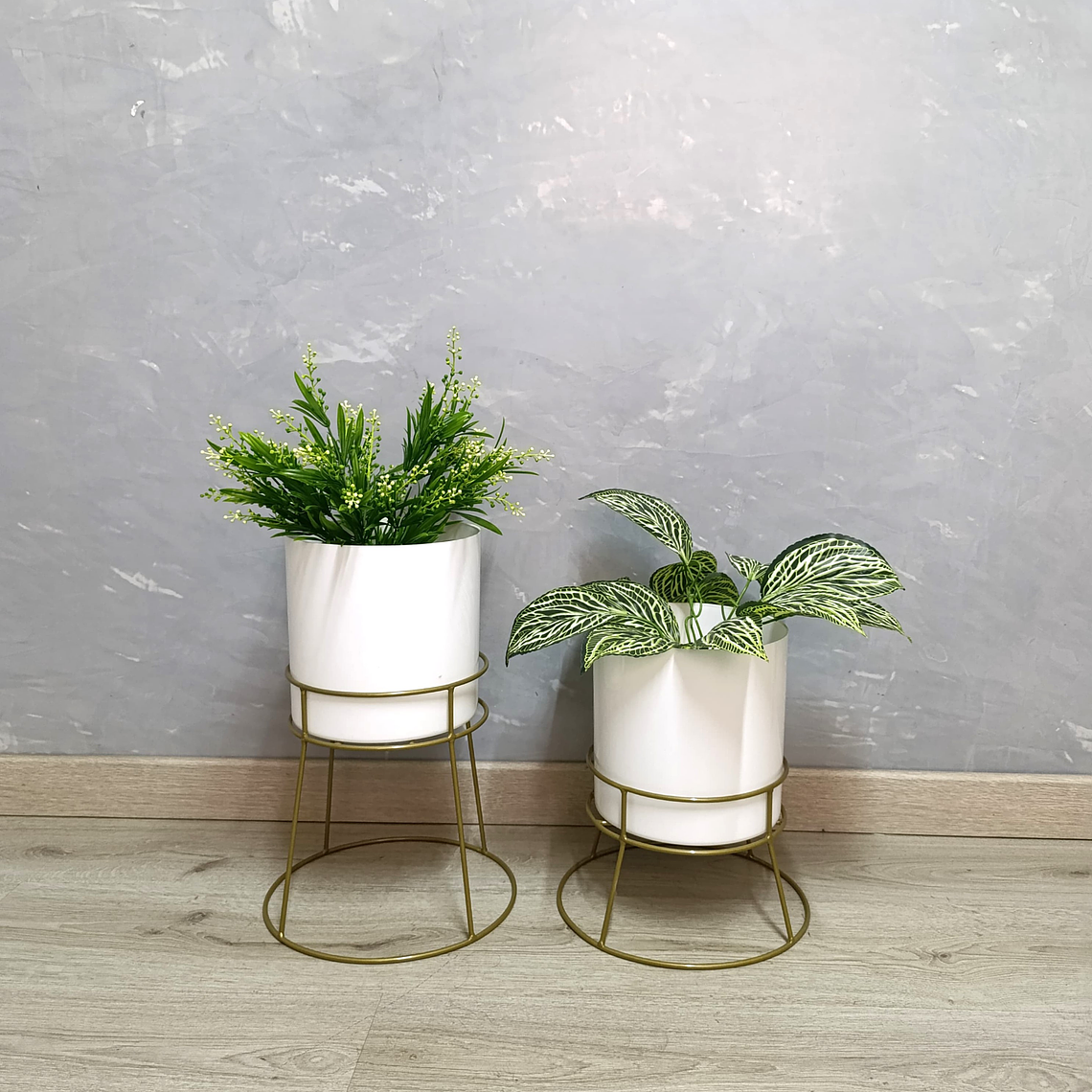 Set Ros Con Matero Plástico  4