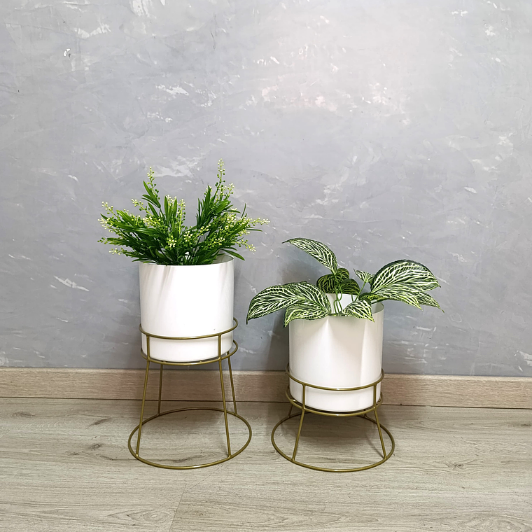 Set Ros Con Matero Plástico  4