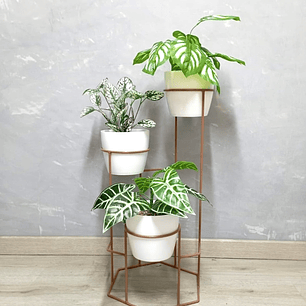 Base Dumar Cobre Con Matero Plástico 