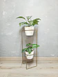 Soporte para Plantas Baham - Diseño Geométrico Personalizable (Envío Ciudades Principales) - Miniatura 8