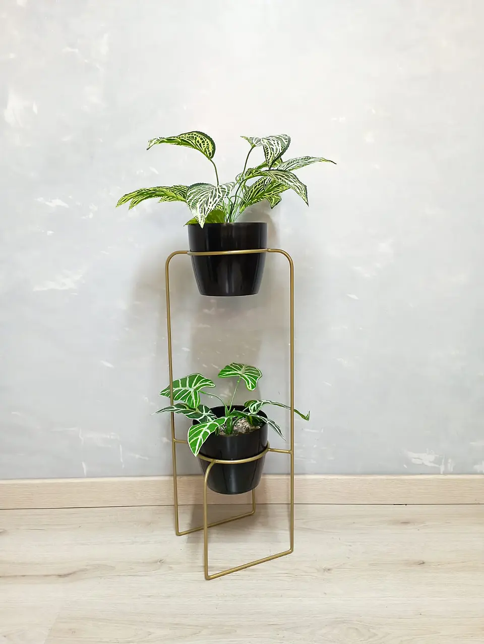 Soporte para Plantas Baham - Diseño Geométrico Personalizable (Envío Ciudades Principales) 9