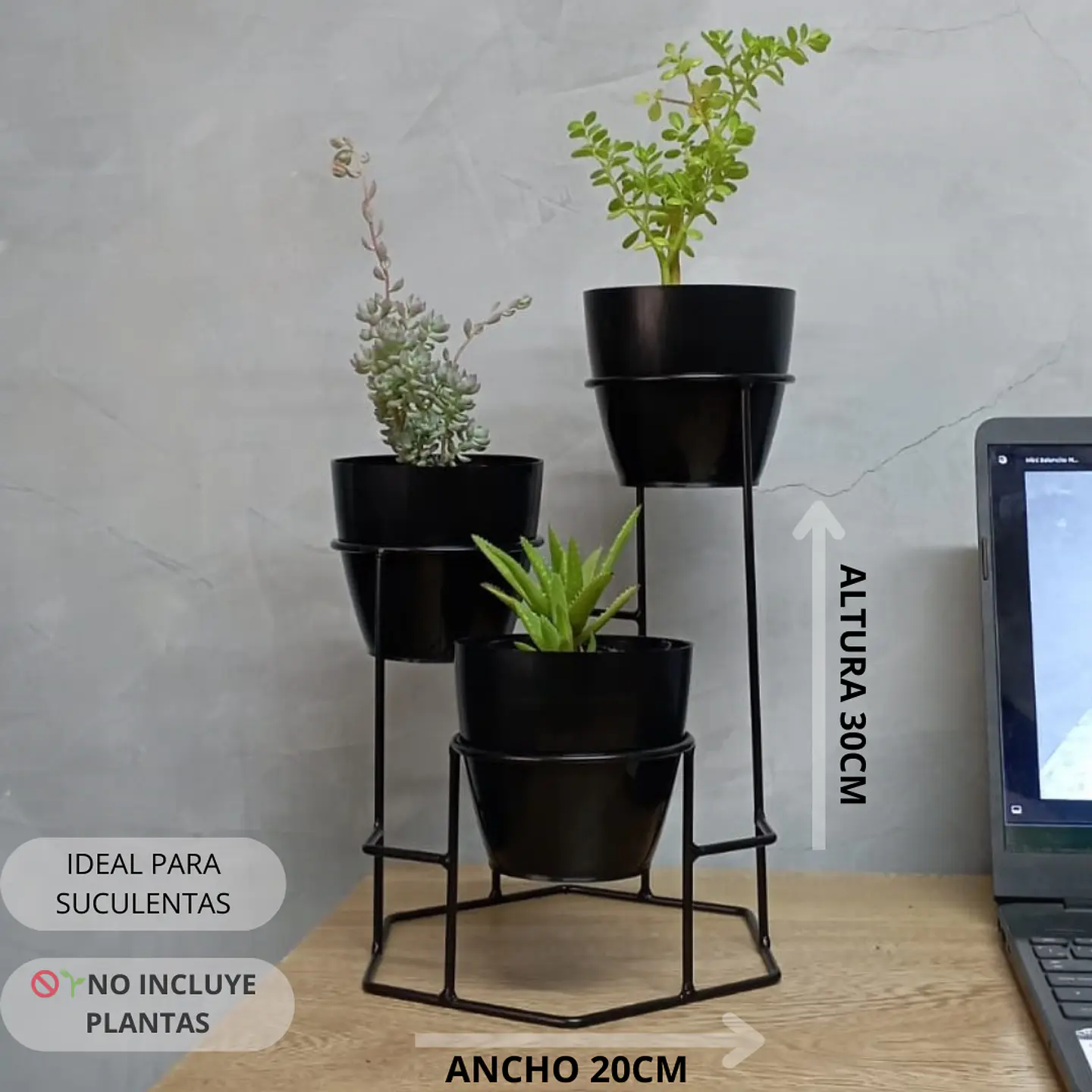 Soporte Mini Dumar con Materos Plasticos 3