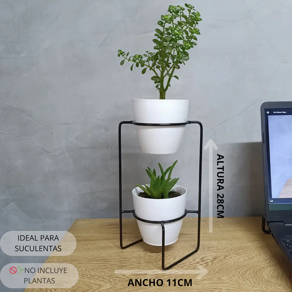 Soporte Mini Baham  1