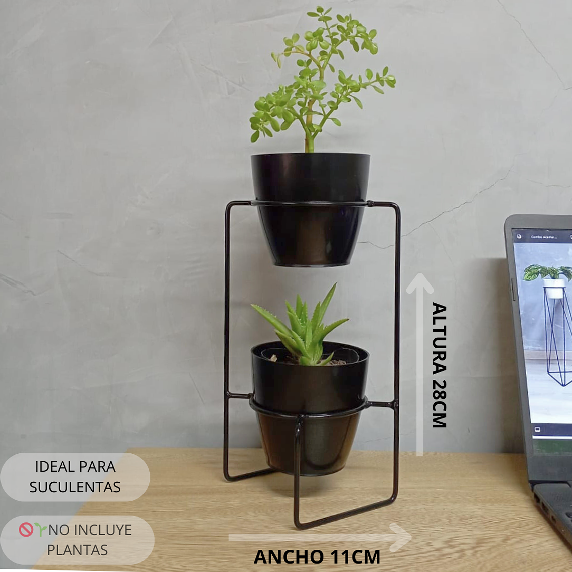 Soporte Mini Baham  2