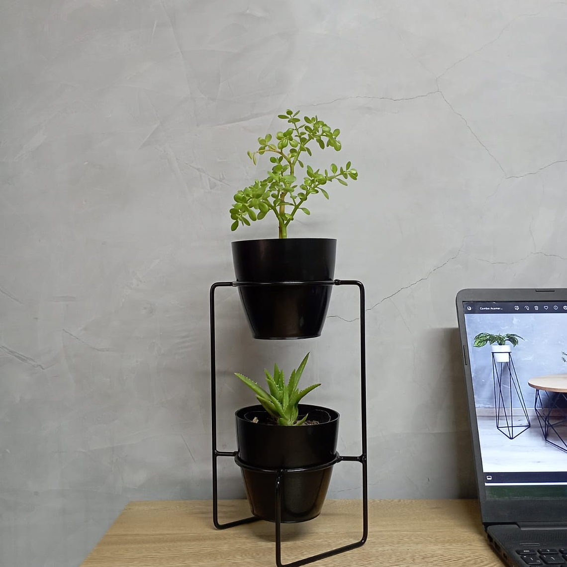 Soporte Mini Baham  3