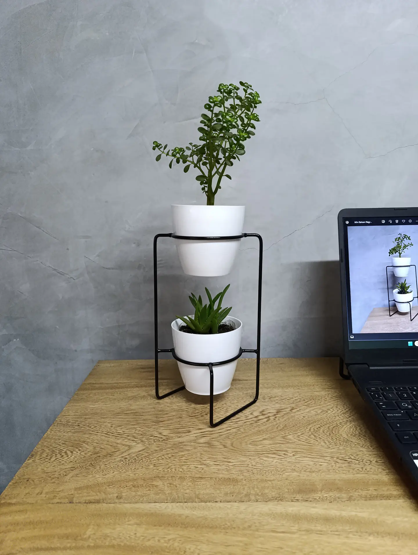 Soporte Mini Baham  4