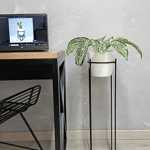 Base Celeste 70cm Con Matero Plástico 