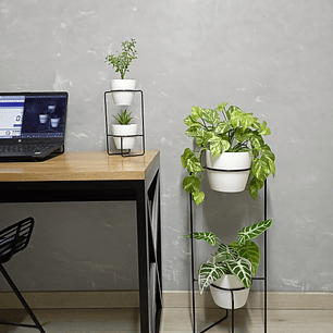 Combo Baham con Materos 