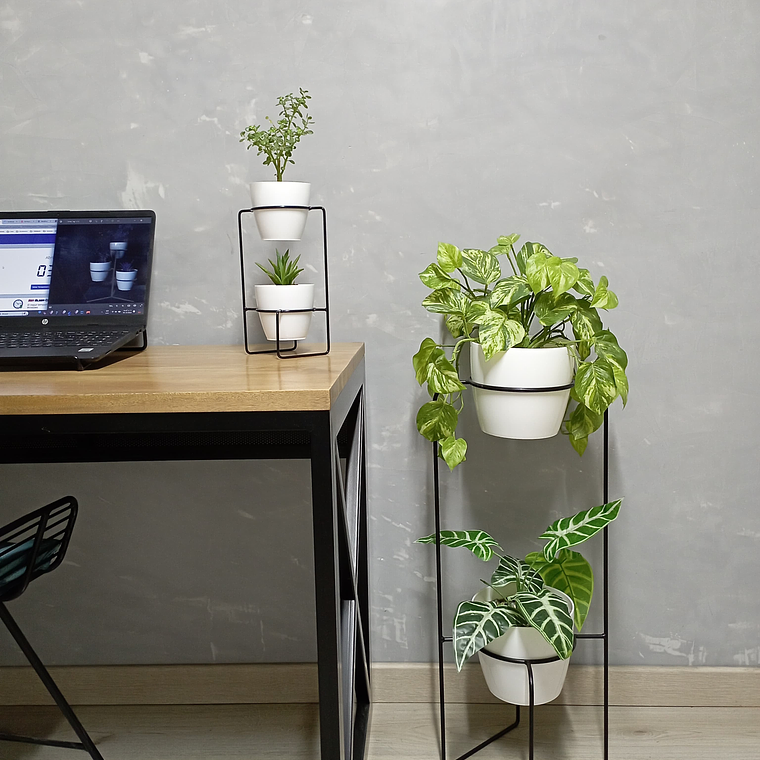 Combo Baham con Materos  1