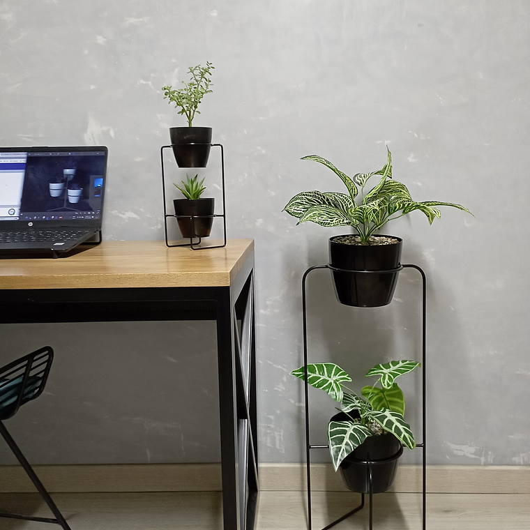 Combo Baham con Materos  2