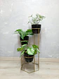 Soporte para Plantas Dumar de 3 Niveles - Incluye Materas - Miniatura 8