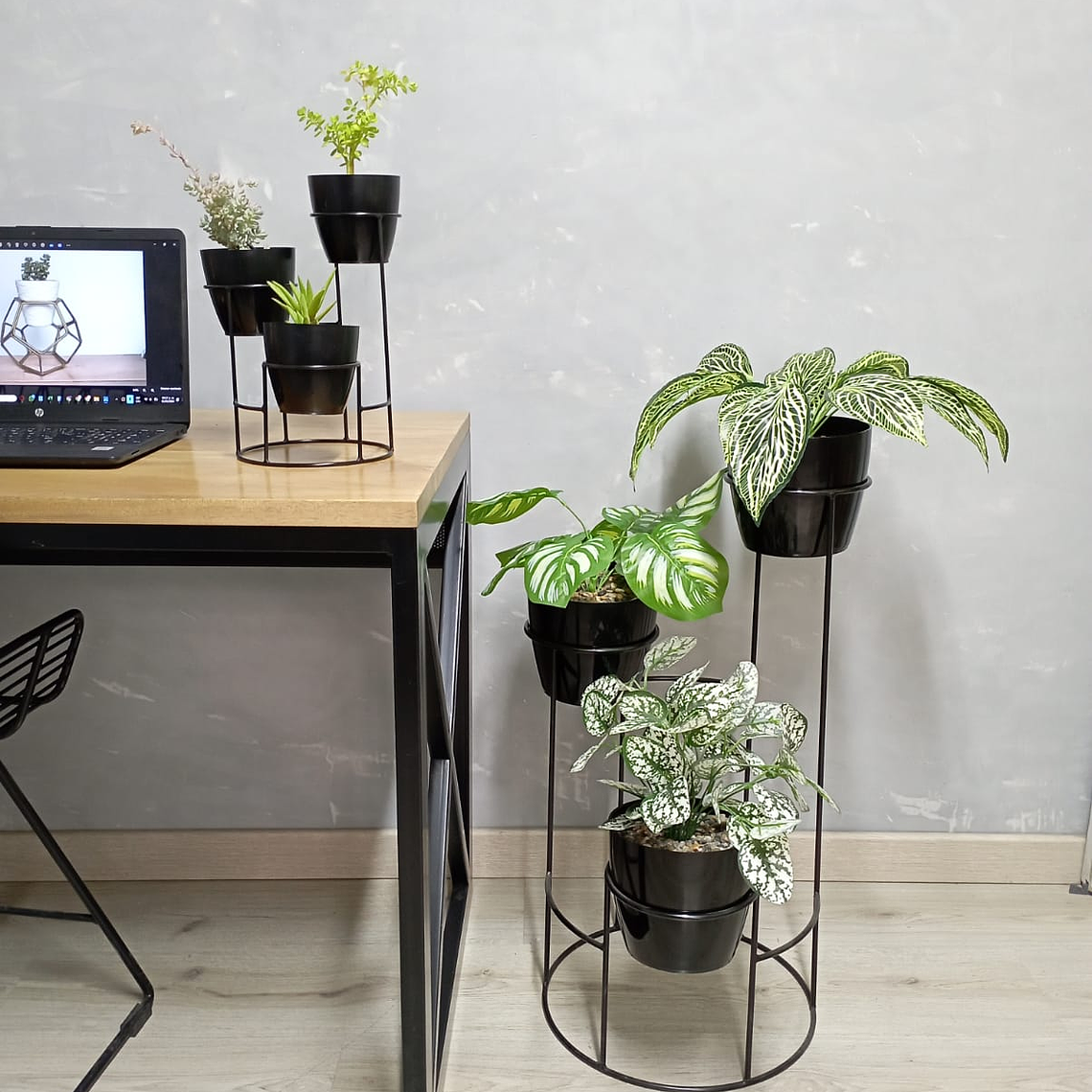 Combo Dani Con Materos  2