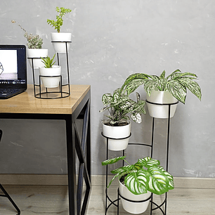 Combo Dani Con Materos 