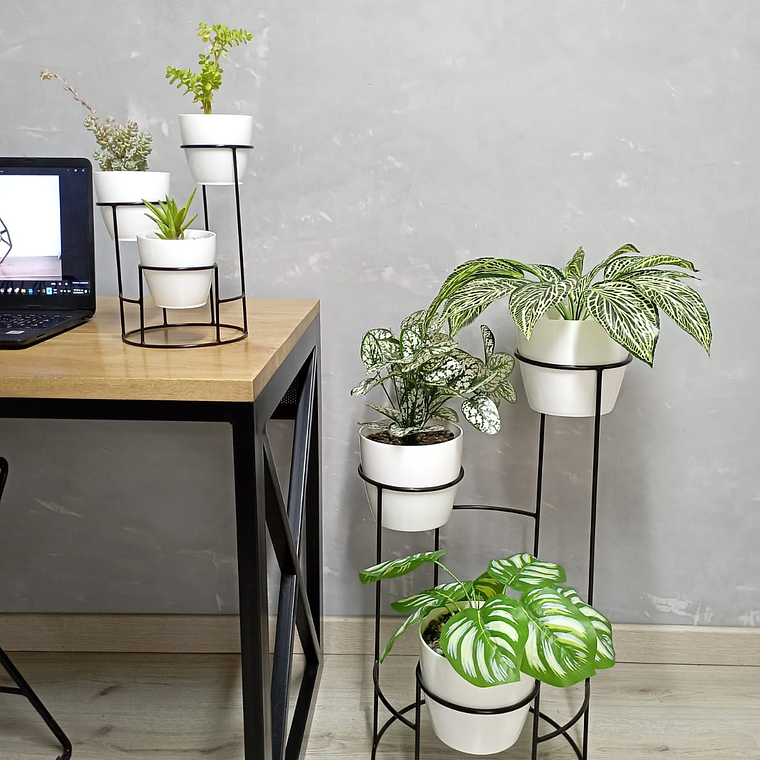 Combo Dani Con Materos  1