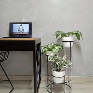 Base Dani Con Matero 