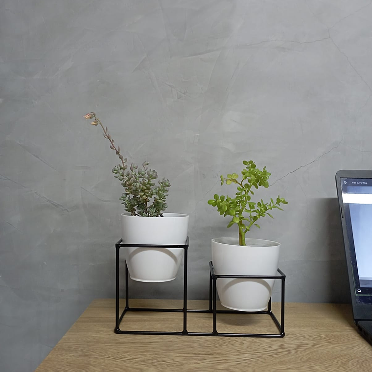 Nashira 2 puestos  1