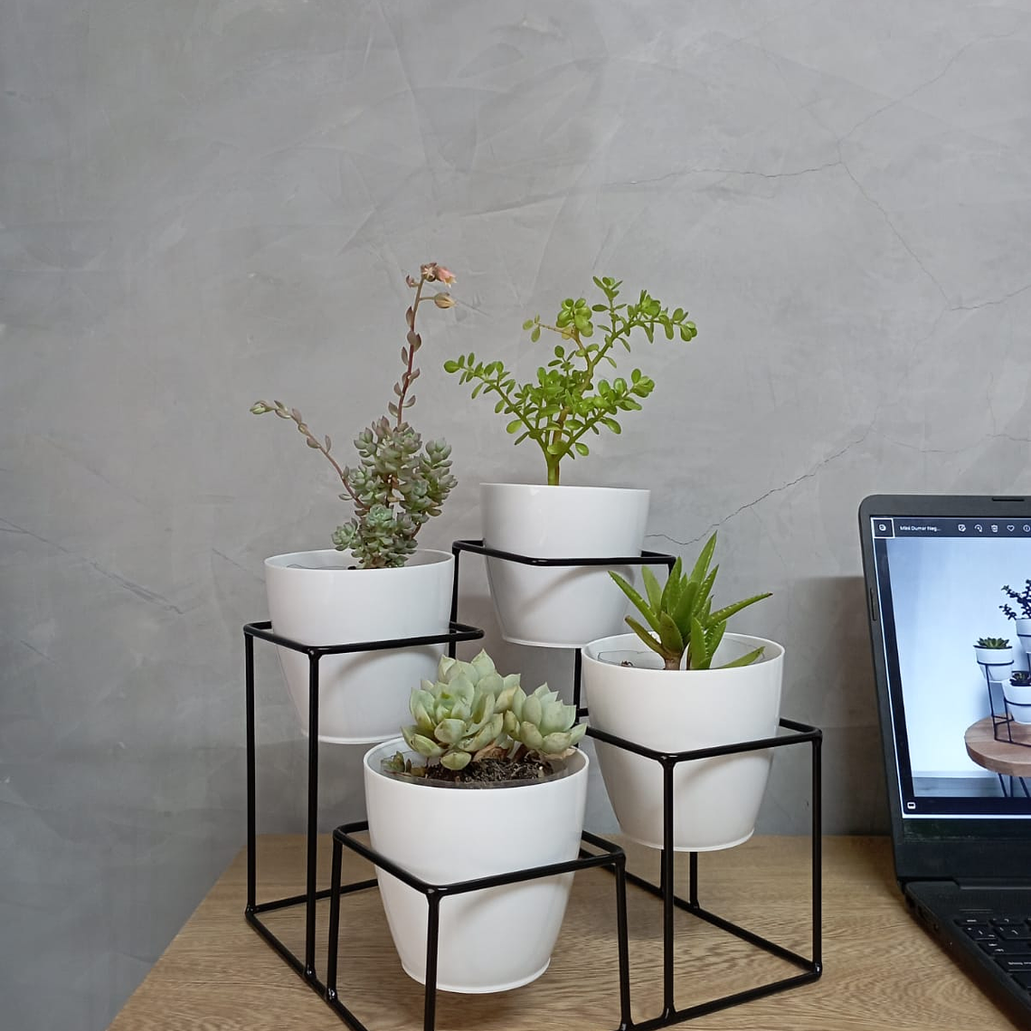 Mini Nashira 4 Puestos 1