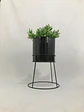 Base Ros 27cm  - Miniatura 2