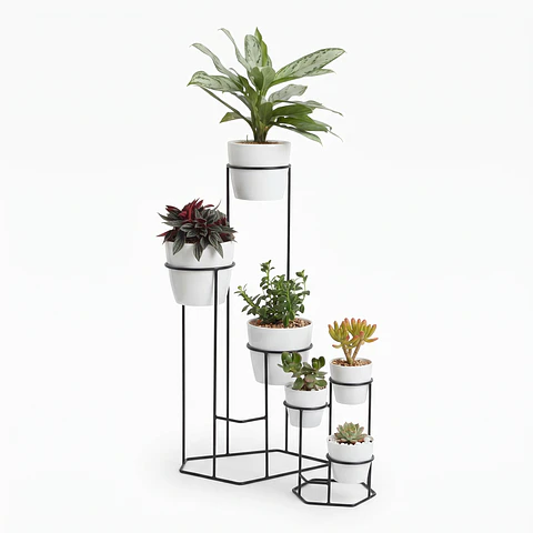 Combo Dumar: Soporte Premium para Plantas de Piso y Escritorio