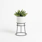 Soporte para Plantas Ros – Base Metálica con Matero | OMG Design - Miniatura 1