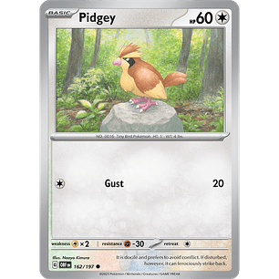 [162/197] [Pidgey] [OBF]
